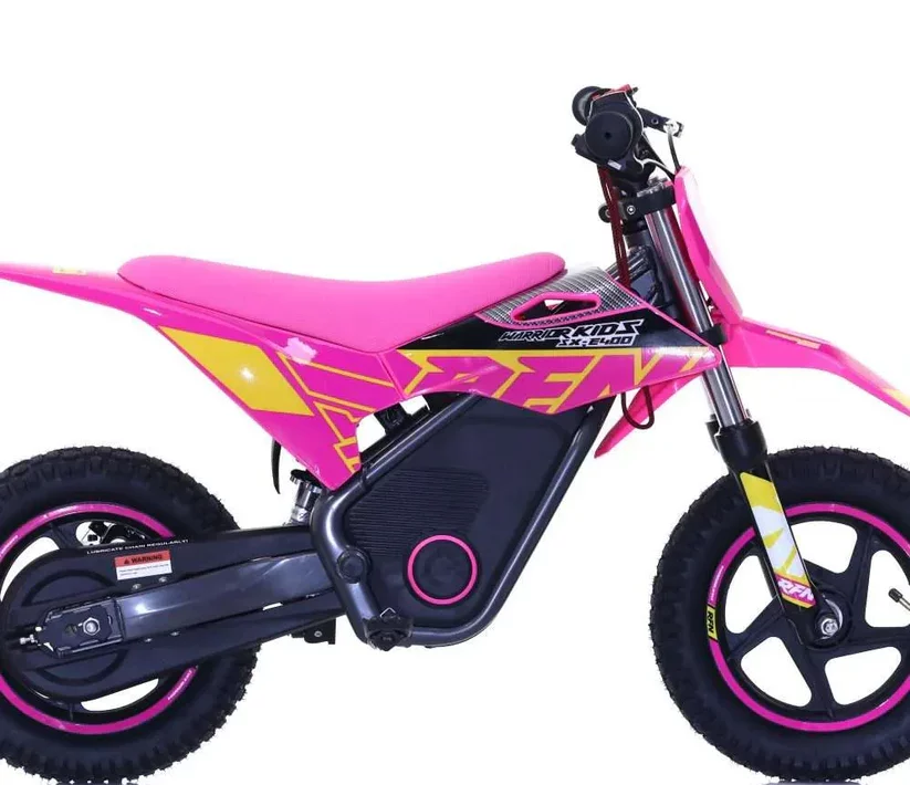 Renegade Kids Electric Quads
