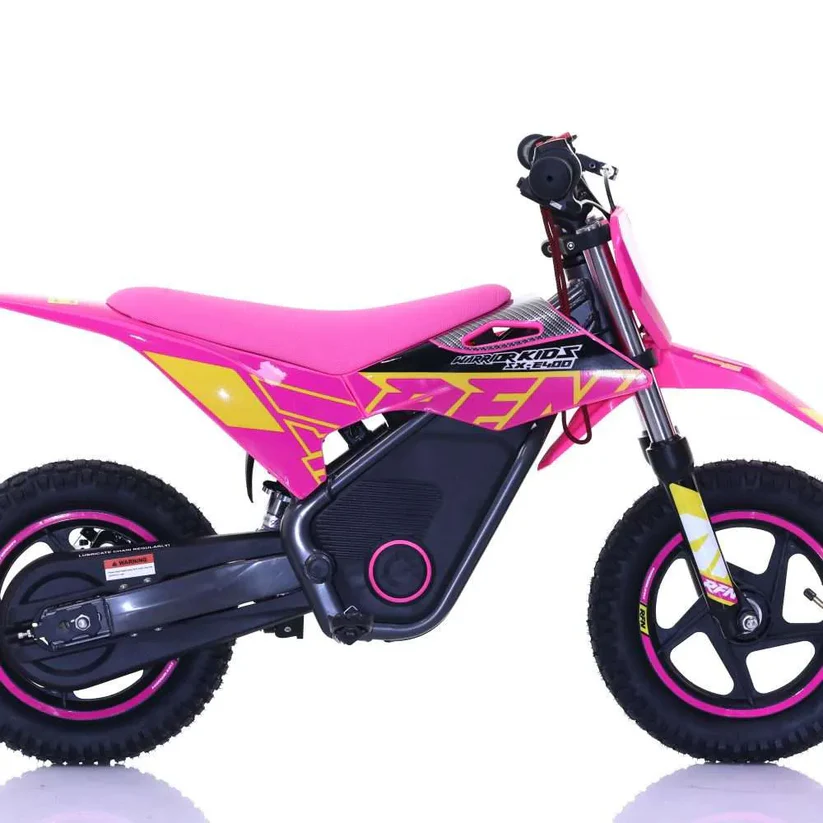 Renegade Kids Electric Quads
