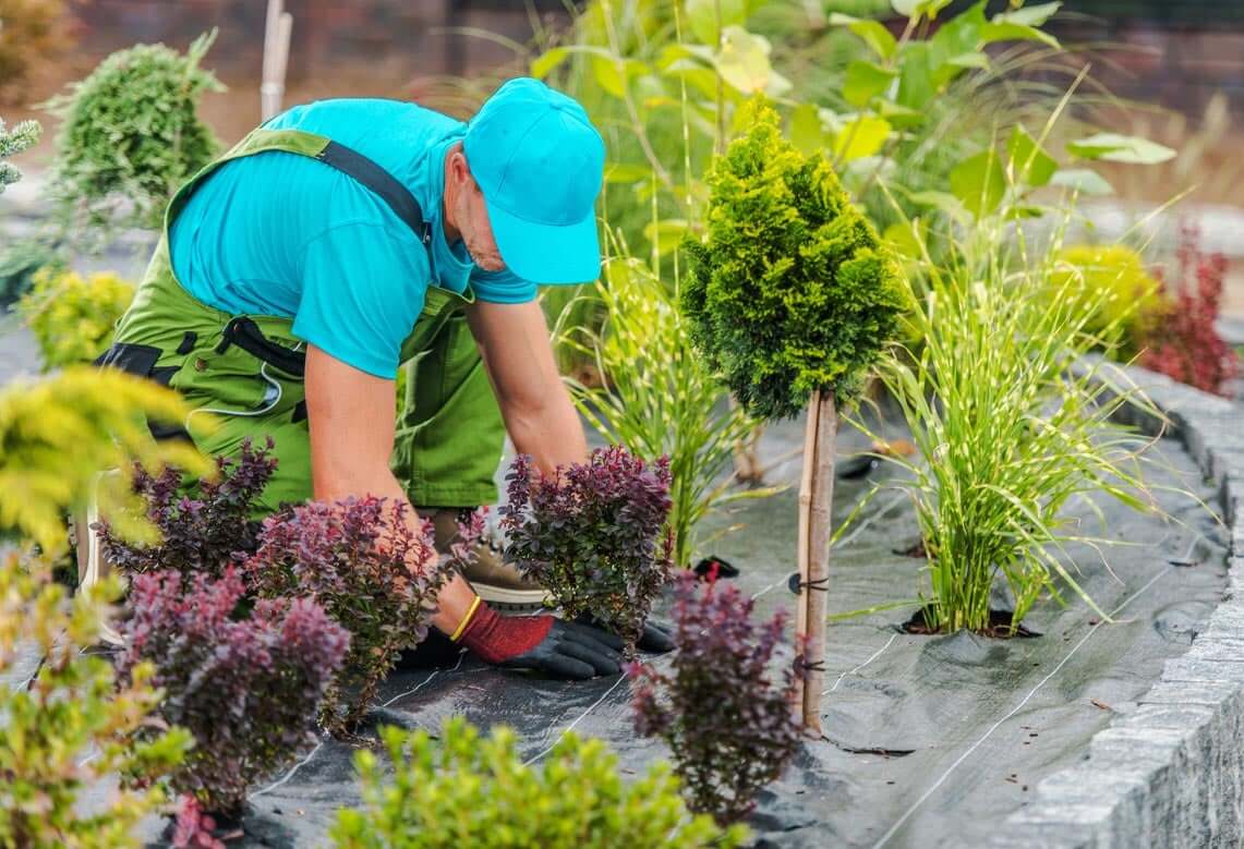 garden maintenance Dublin